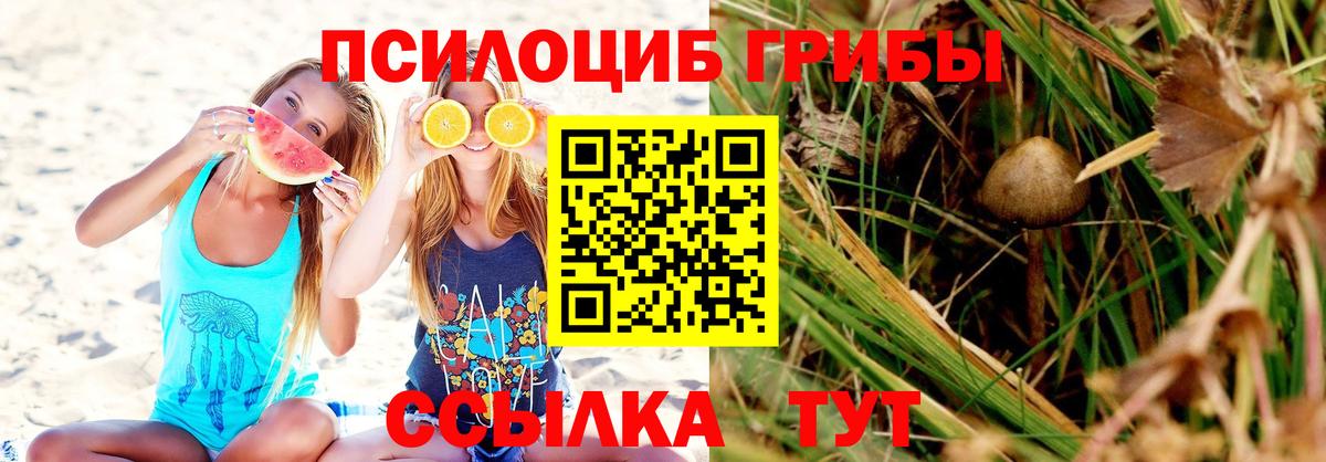 Псилоцибиновые грибы Psilocybe  Вход с VPN  цены   Люберцы  Псилоцибиновые грибы MAGIC MUSHROOMS 